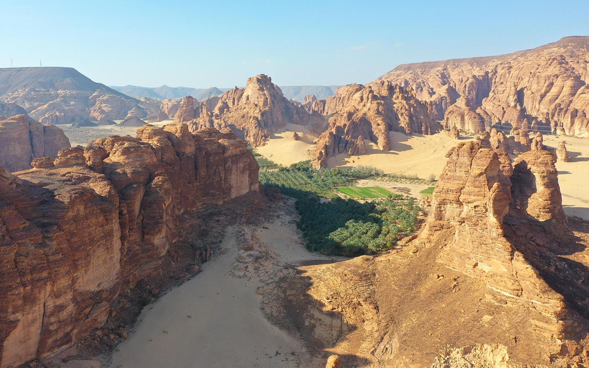 العلا في السعودية: رحلة عبر التاريخ والطبيعة الساحرة